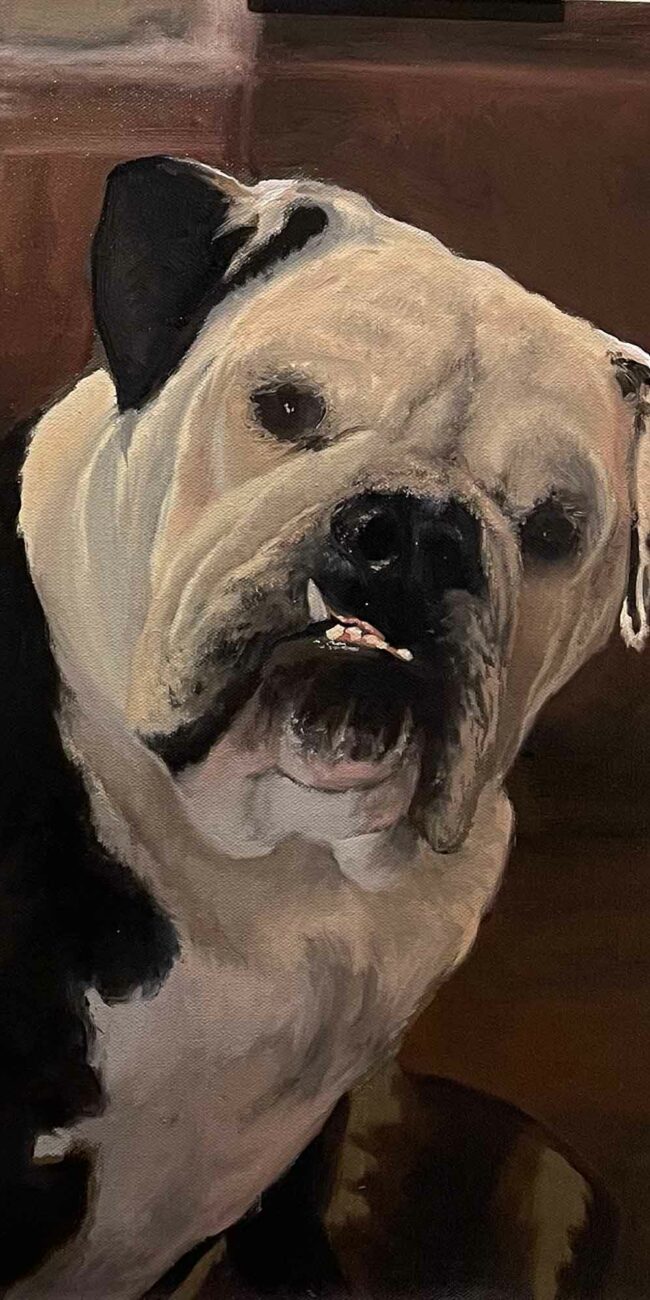 English Bulldog Oil Painting Portrait