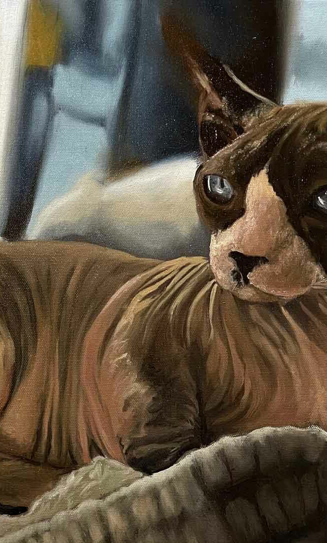 sphinx hairless cat oil painting portrait