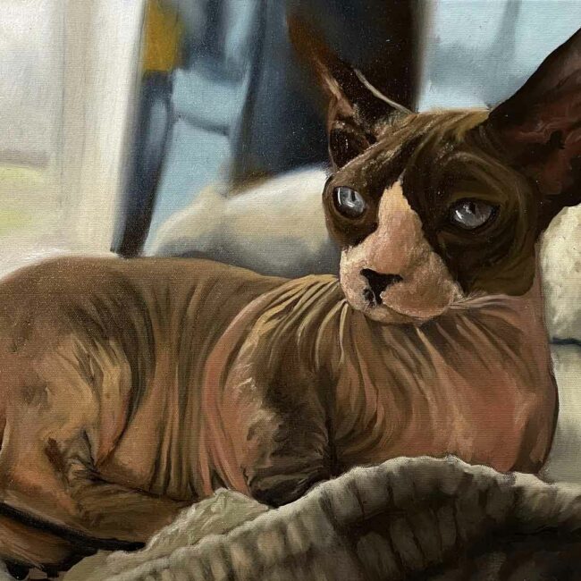 sphinx hairless cat oil painting portrait